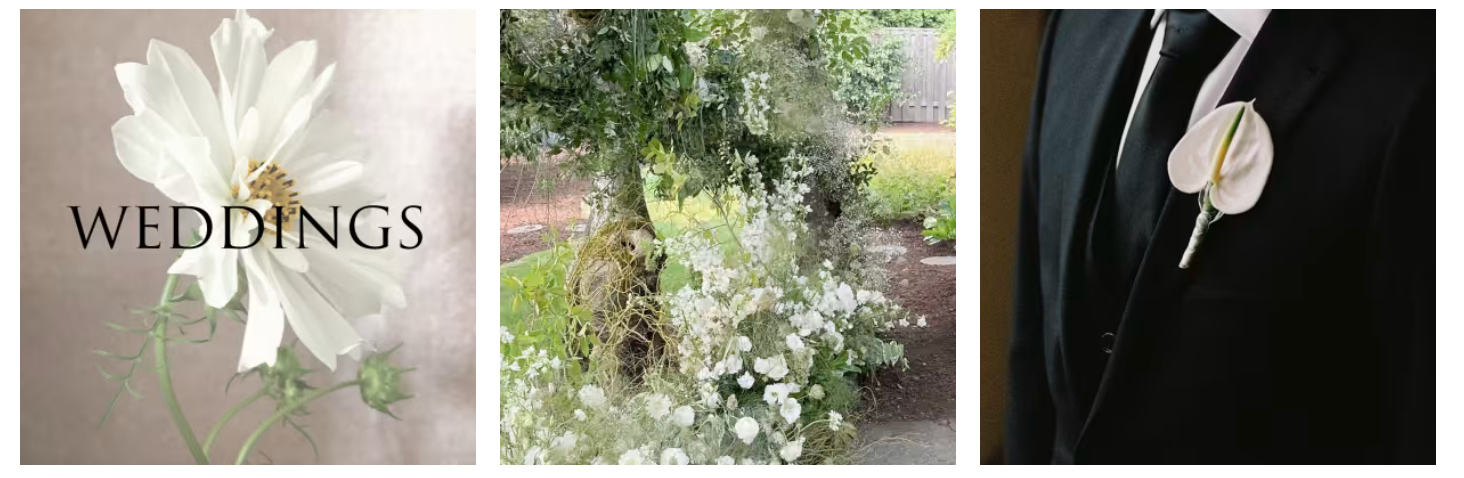 Screenshot 2025-03-15 at 16-19-37 Our Photo Gallery Kawa Flowers