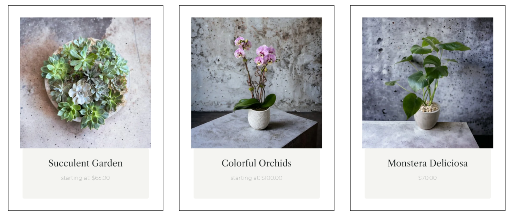 Florist Alexandria VA Helen Olivia Flowers Flower Delivery