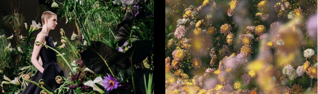  Emily Thompson Flowers