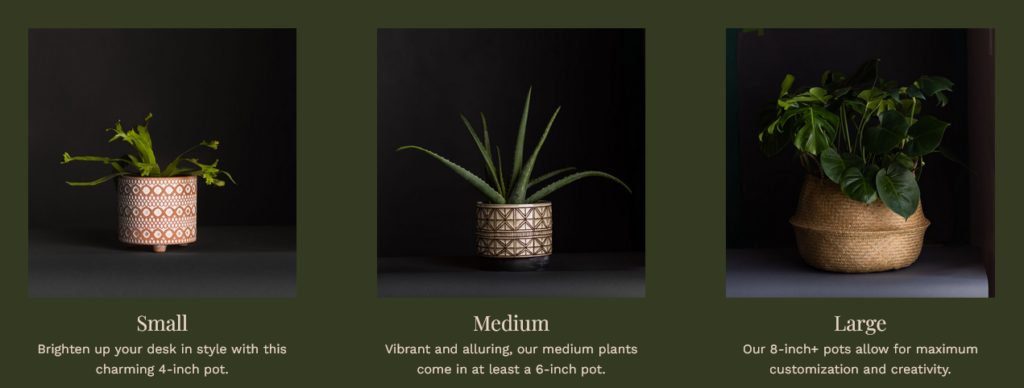 f The Earth - Floral Design