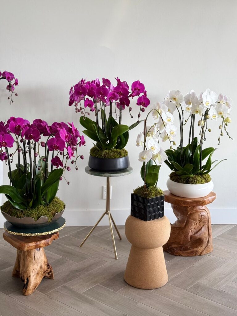 floral trends