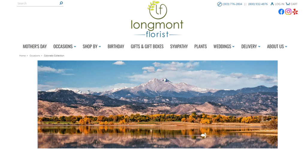Spreading Love Through Flowers: The Mission of Longmont Florist