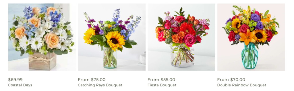 Types of Flowers in Shirley's Collection