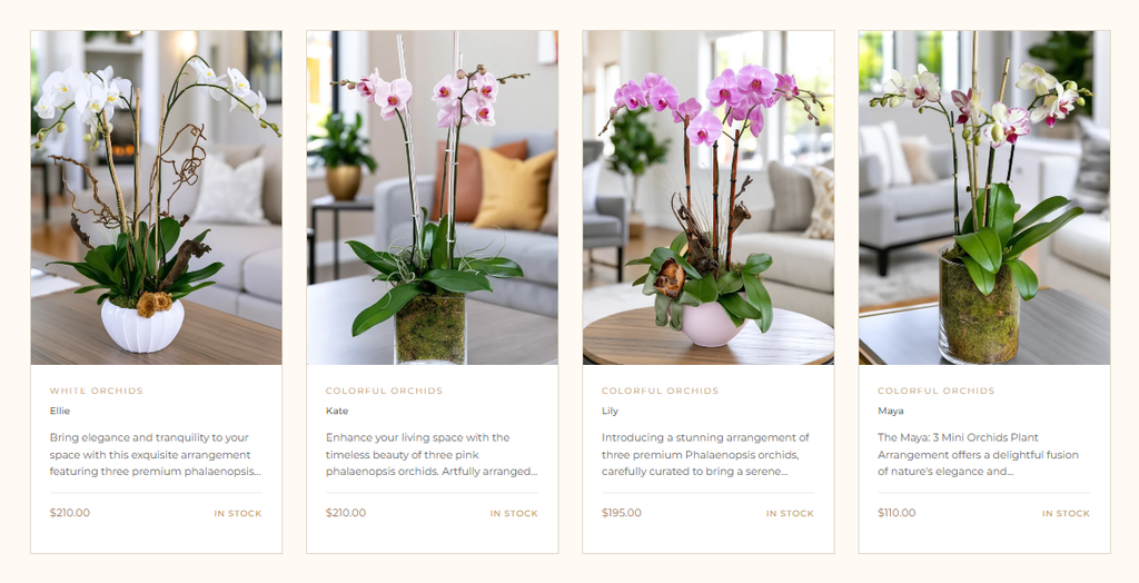 Orchidée Palm Beach