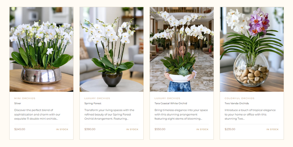Orchidée Palm Beach