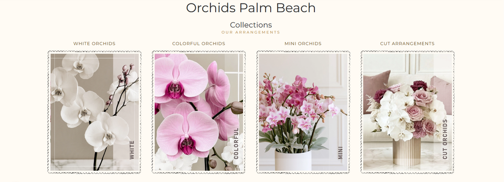 Orchidée Palm Beach